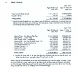 Nợ vay phình to, ngân hàng nào đang là chủ nợ của Khang Điền?