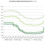 VCBS: Tiền đồng có khả năng giảm giá trên 5% trong năm 2022
